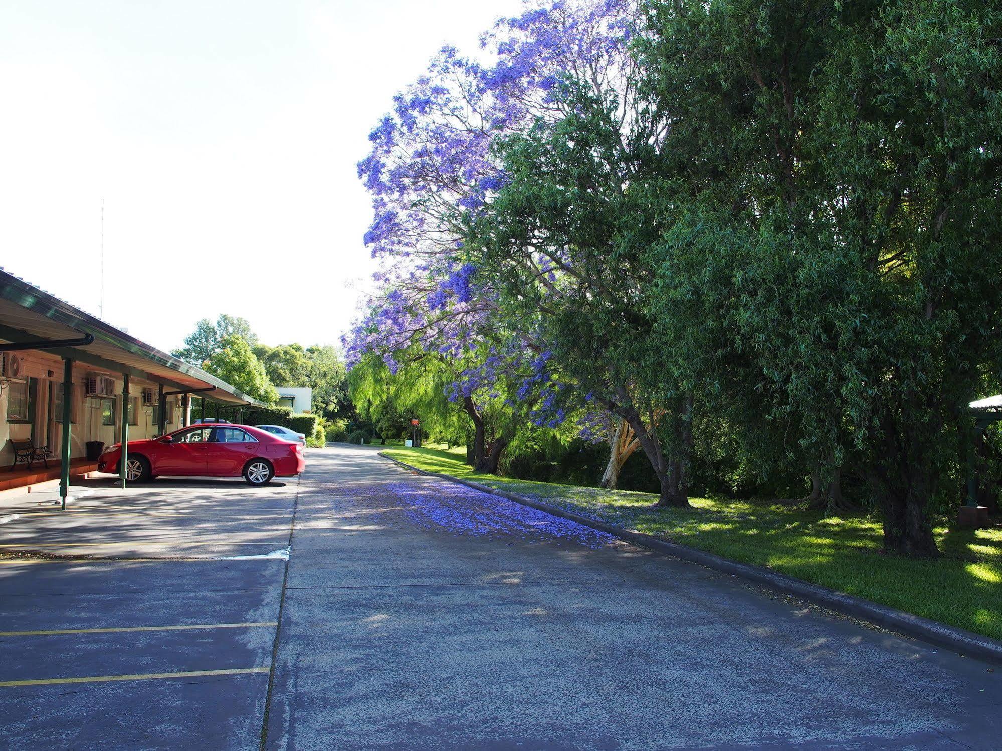 Solomon Inn Motel Figtree Wollongong Luaran gambar